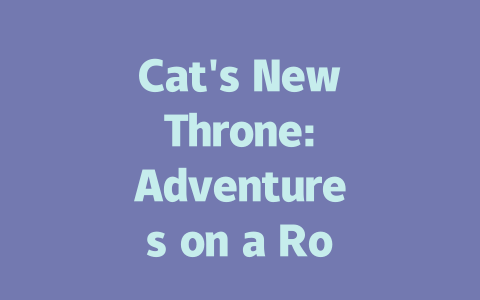 Cat's New Throne: Adventures on a Robot Vacuum